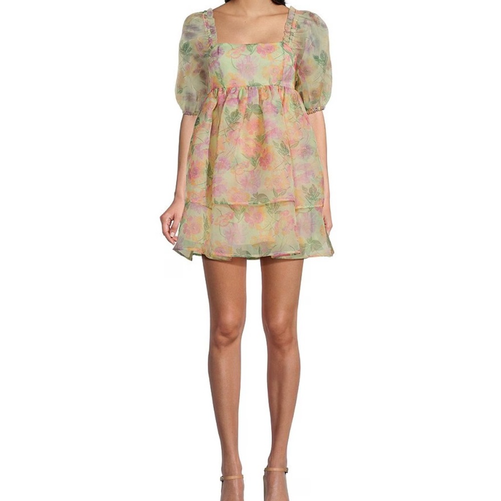 C&V Chelsea & Violet Organza Puff Sleeve Floral Babydoll Dress
